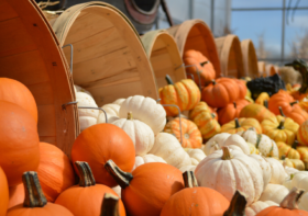 15 Essential Autumn Activities in New England for a Perfect Fall