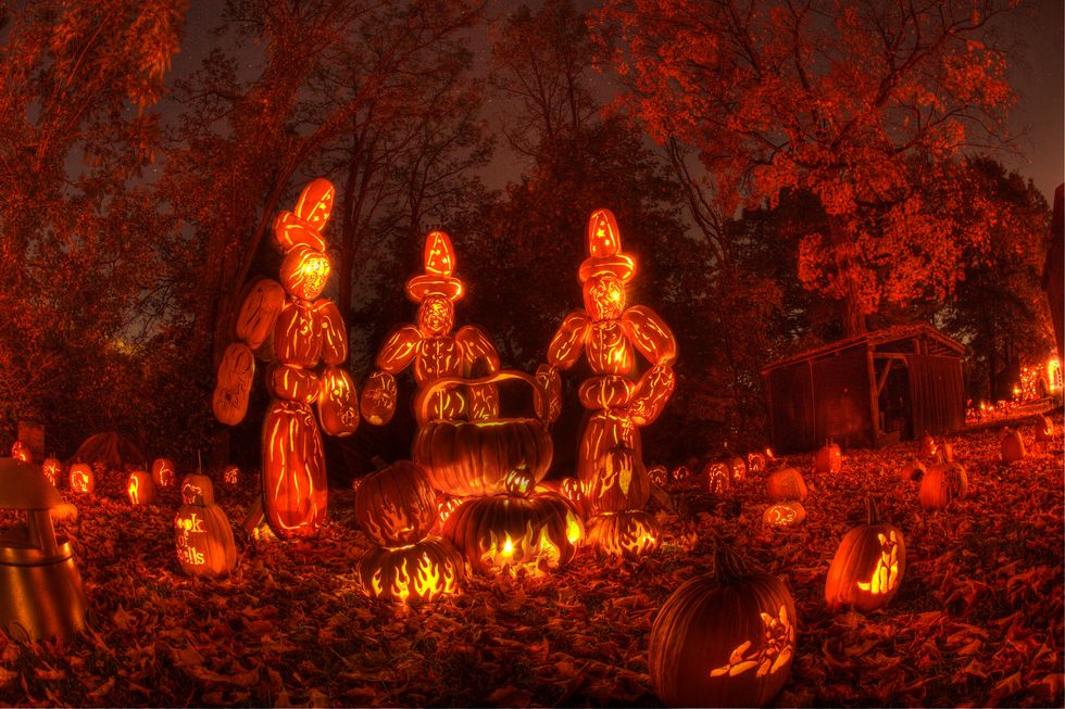 Intricately carved pumpkins on display at the Great Jack O'Lantern Blaze festival in New York.